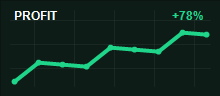 Wei L. monthly profit chart