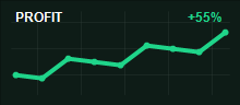 Min J. monthly profit chart